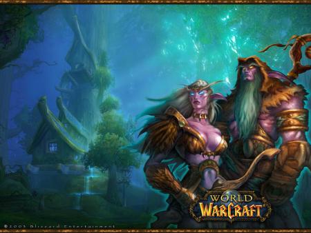 World of Warcraft,les elfes de la nuit
