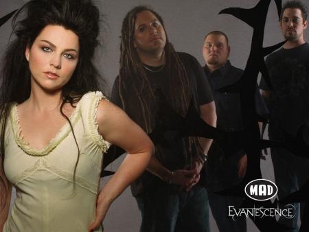 Le nouveau Evanescence