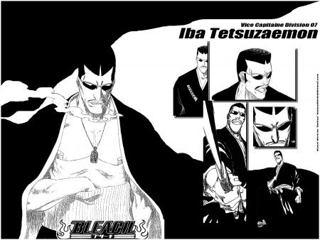 Iba Tetsuzaemon,vice capitaine de la 7eme division du gotei 13