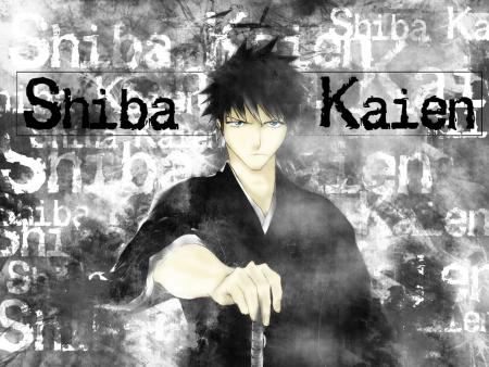 Shiba Kaien,vice capitaine de la 13eme division du gotei 13