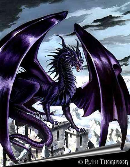Dragon noir
