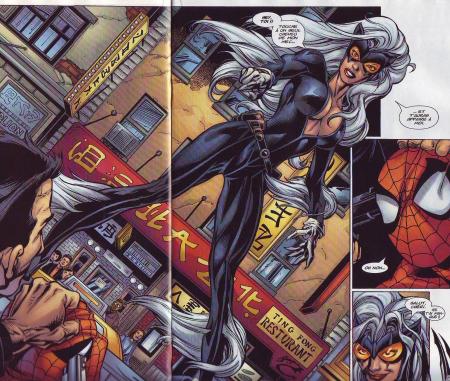La Chatte Noire version Ultimate Spiderman(désolé pour la barre du milieu,c'est un scan)mon personnage féminin de Spiderman